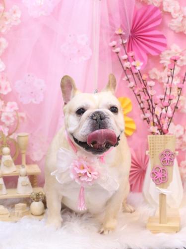 20250301こてつくん